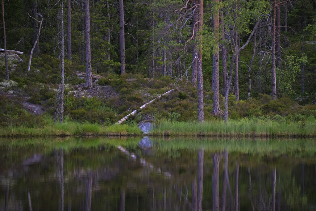 Lake Fiskelös